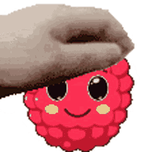 pet the raspberry