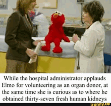 Elmo Hospital Applauds Donor Kidney GIF - Elmo Hospital Applauds Donor Kidney GIFs