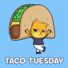 a cartoon cat holding a taco with the words taco tuesday underneath it
