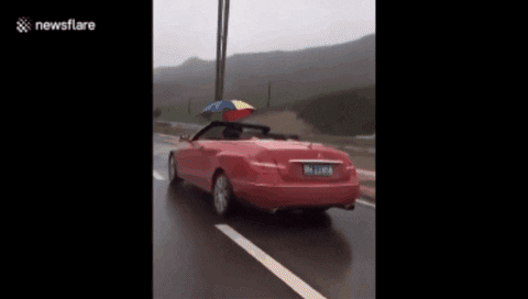 untitled.gif