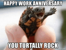 Happy Work Anniversary GIF - Happy Work Anniversary GIFs