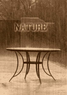 Rain Nature GIF - Rain Nature GIFs