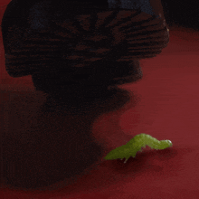 a green caterpillar crawling on a red surface