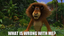 Madagascar What Is Wrong With Me GIF
