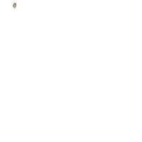 a white background with gold letters that say regaip kandiliniz mubarek olsun