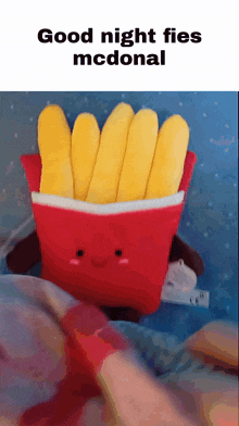 a stuffed french fries says good night fies mcdonal on the bottom