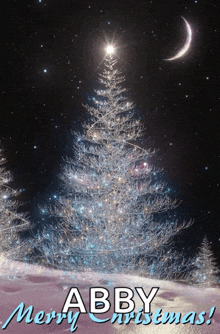 Christmas Sparkle GIF - Christmas Sparkle GIFs
