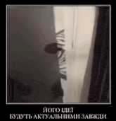 a shadow of a person is cast on a wall in a black and white photo .