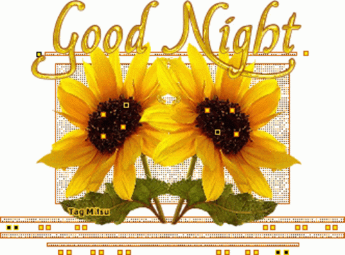 Good Night Sunflower Sticker - Good Night Sunflower Flower - Discover &  Share GIFs