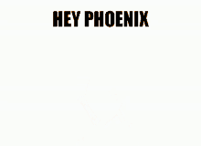 phoenix hvbuddy