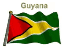 guyana flag