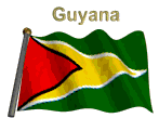 Guyana Flag Sticker - Guyana Flag Stickers