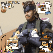 a picture of a man holding a bunch of cats with picmix written on the bottom right