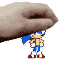 sonic cookie
