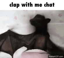 Clap With Me Chat Crygup GIF - Clap With Me Chat Crygup Bat GIFs