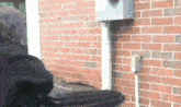 a person is standing in front of a brick wall with a trash can in front of them