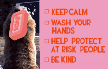 Wash Your Hands Sanitize GIF - Wash Your Hands Sanitize Wash GIFs
