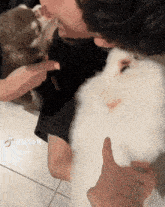 a tiktok video of a man kissing a dog