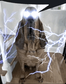 a dog is surrounded by lightning and has a speech bubble above it