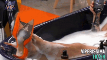 a woman laying in a bathtub with the words viperissima trash written on the bottom