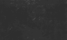 מצליחים עם מספרים דניאל לב GIF