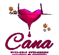 Flower Cana Sticker - Flower Cana Wine Stickers
