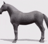 a rainbow colored horse is walking on a white surface