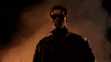 Terminator Kidnap GIF - Terminator Kidnap GIFs