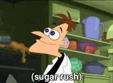 perry the platypus from phineas and ferb is standing in front of a refrigerator with the words sugar rush below him
