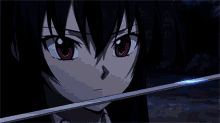 Akame Anime GIF - Akame Anime Sword GIFs