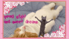 Kitty Good Night GIF - Kitty Good Night Cat GIFs