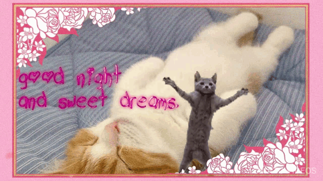 Good Night Cute GIF - Good Night Cute Kitty - Discover & Share