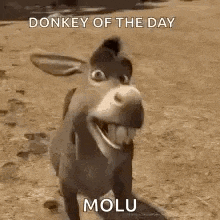 a donkey from shrek is smiling and walking in the desert .