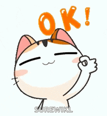 a cartoon cat is giving a thumbs up sign and the word ok is above it .