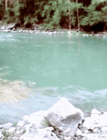 River Water GIF - River Water Rocks GIFs