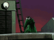 Muppets Droop GIF