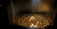 Scrooge Mcduck Gold GIF - Scrooge Mcduck Gold Rich GIFs