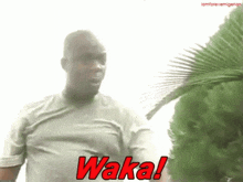 Waka GIF - Waka GIFs