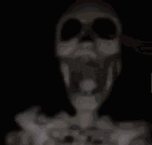 a blurry picture of a skeleton with a long stick in its head .