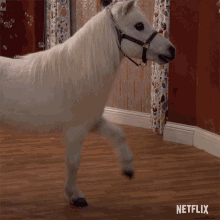 Pony Horse GIF - Pony Horse Neigh GIFs
