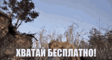 a picture of an elephant with the words " xbatai besplatho " written on it