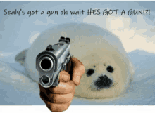 Gun Seal GIF - Gun Seal Discord GIFs