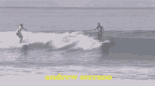 Andrew Serrano Flamboiar GIF - Andrew Serrano Flamboiar Manobra De Surf GIFs