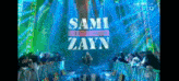 Wwe Sami Zayn Entrance January 2022 GIF