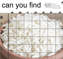 a picture of a bowl of rice with the words " can you find " below it