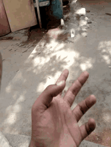 Sameer Hand GIF