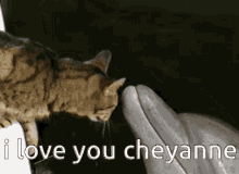 I Love You Cheyanne I Love Cheyanne GIF - I Love You Cheyanne I Love Cheyanne GIFs