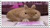 a brown rabbit is sitting on a pink blanket on a bed .