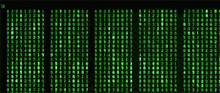 The Matrix Green GIF - The Matrix Green GIFs