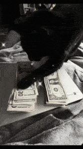Cat Money Spread GIF